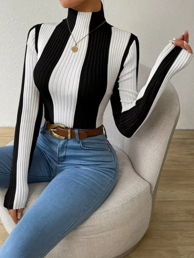 Color Block Turtleneck Ribbed Knit Top