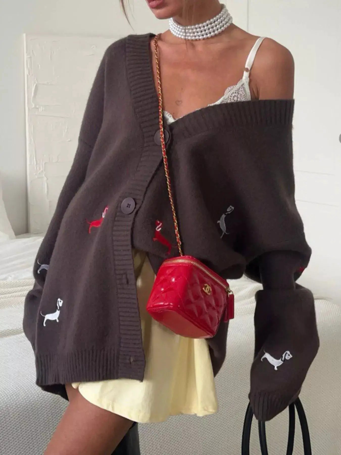 Embroidered button-up cardigan in brown with multicolor dog motifs; paired with a red Chanel bag.